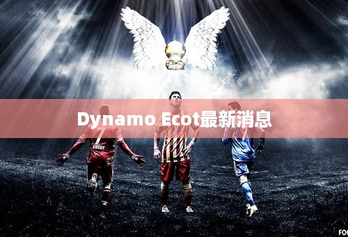 Dynamo Ecot最新消息